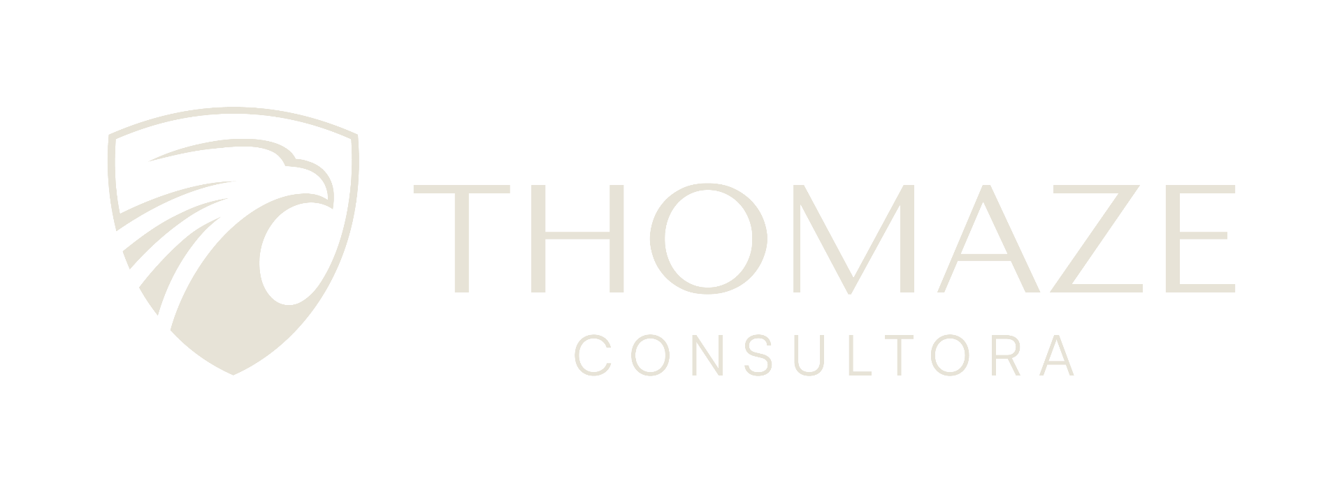 Thomaze Consultora